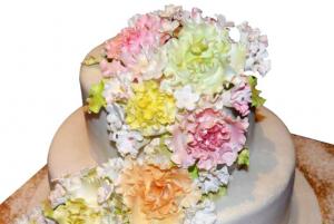 Wedding Cake 056